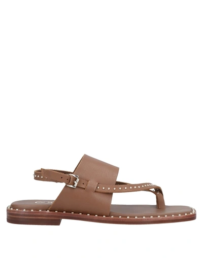 Ash Toe Strap Sandals In Tan