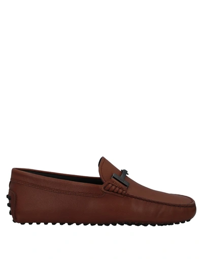Tod's Loafers In Brown