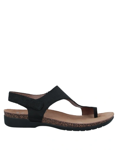 Dansko Toe Strap Sandals In Black