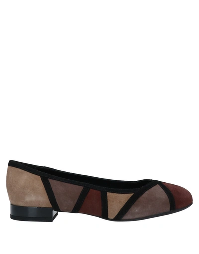 Geox Ballet Flats In Brown