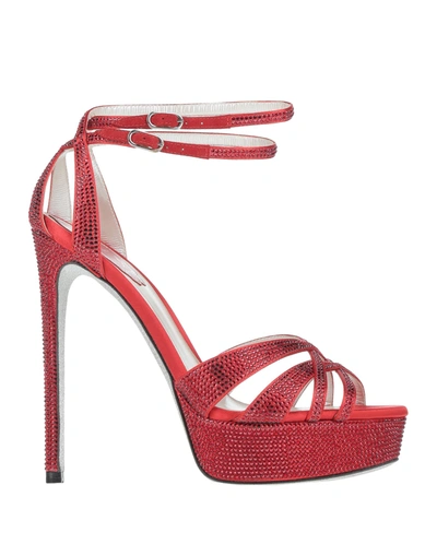 René Caovilla Sandals In Red