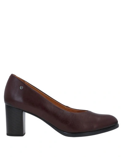 Pikolinos Pumps In Maroon