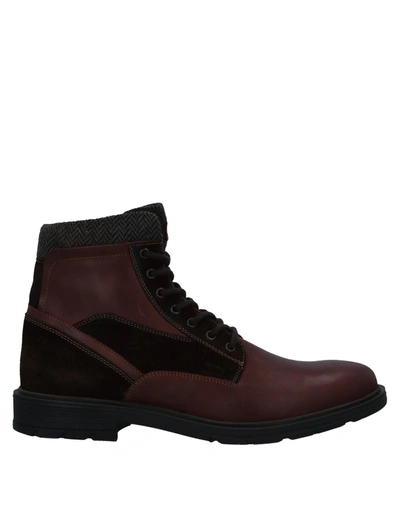 Geox Ankle Boots In Cocoa