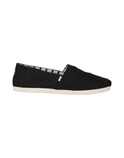 Toms Sneakers In Black