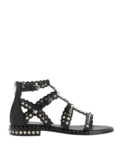 Ash Studded Black Calf Leather Sandal In Nero Scuri