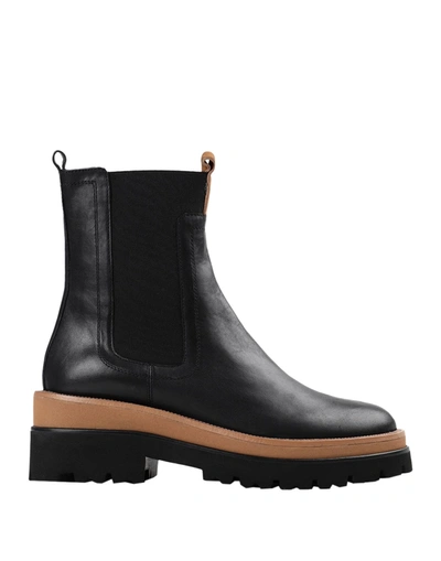 Bruno Premi Ankle Boots In Black