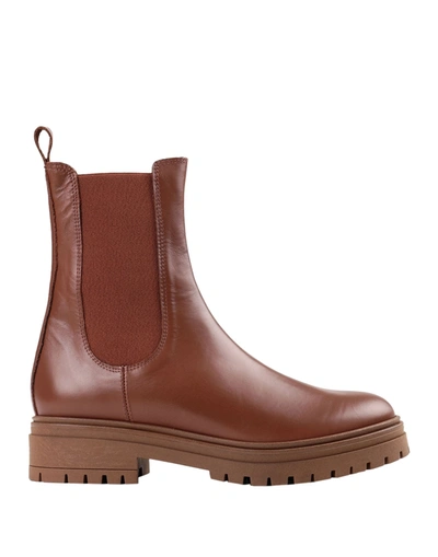 Bianca Di Ankle Boots In Brown