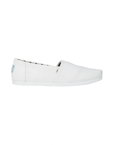 Toms Sneakers In White