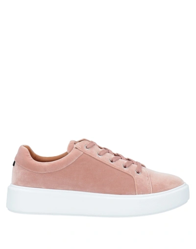 Bally Sneakers In Blush