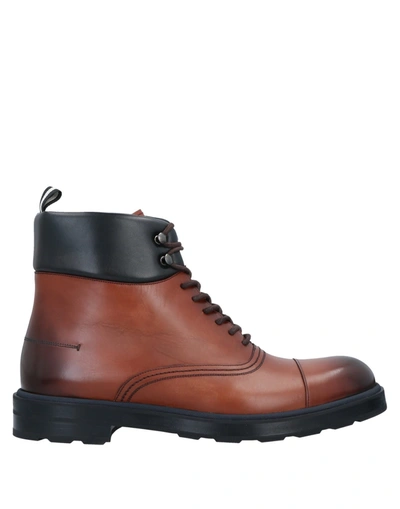 Bally Ankle Boots In Brown