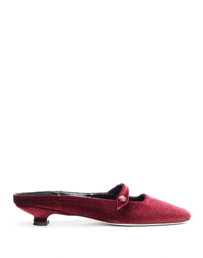 8 By Yoox Mules W/ Velvet Strap Woman Mules & Clogs Burgundy Size 7 Textile Fibers In Red