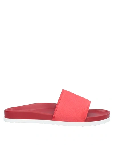 Buscemi Sandals In Red