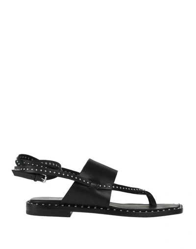 Ash Toe Strap Sandals In Black