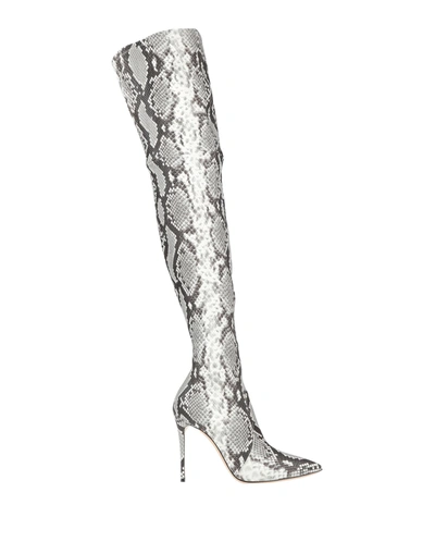 Casadei Knee Boots In Grey