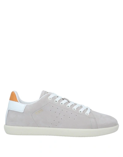 Tod's Sneakers In Beige
