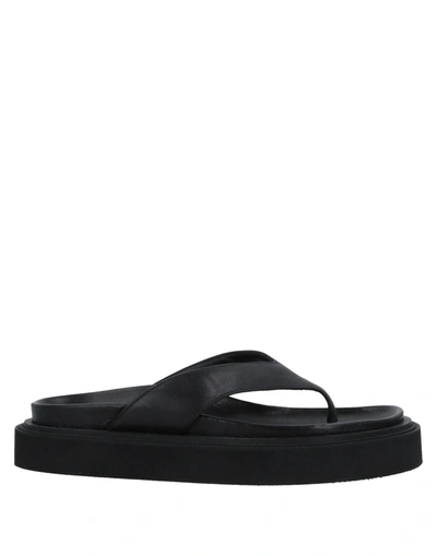 Hazy Toe Strap Sandals In Black