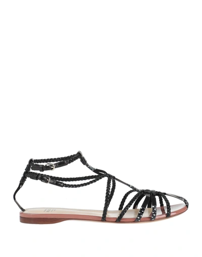 Francesco Russo Sandals In Black