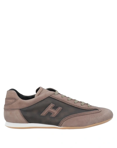 Hogan Sneakers In Brown