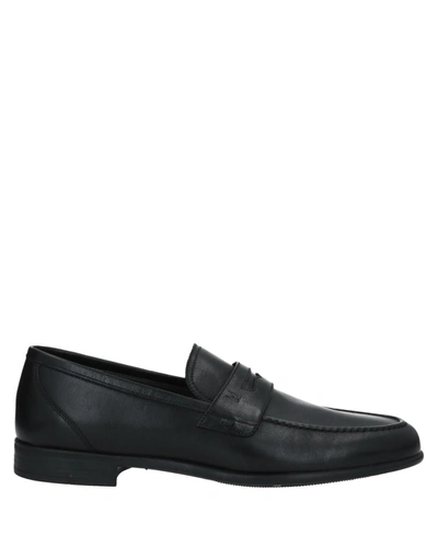 Moreschi Loafers In Black