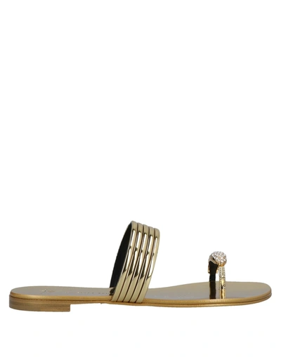 Giuseppe Zanotti Toe Strap Sandals In Gold