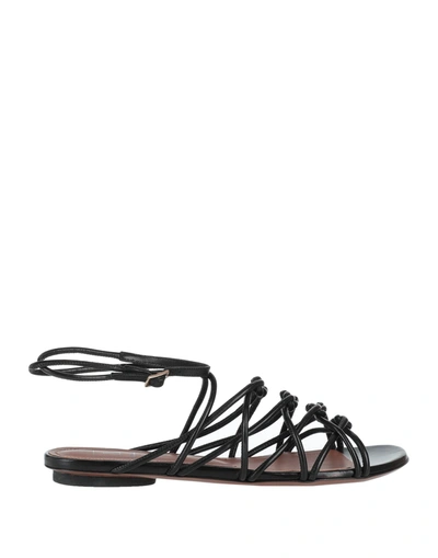 L'autre Chose Sandals In Black