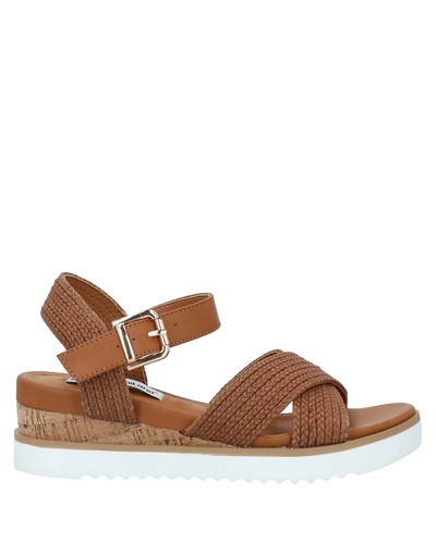 Francesco Milano Sandals In Brown