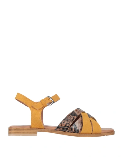 Pollini Sandals In Camel
