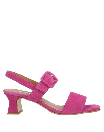 About Arianne Sandals In Fuchsia
