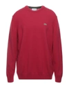 Lacoste Sweaters In Garnet