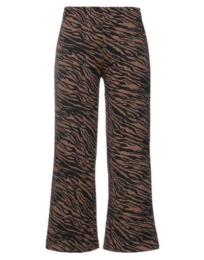 Liu •jo Pants In Brown