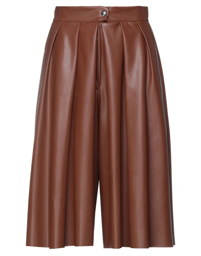Dixie Cropped Pants In Brown