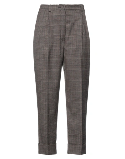 Hebe Studio Pants In Brown