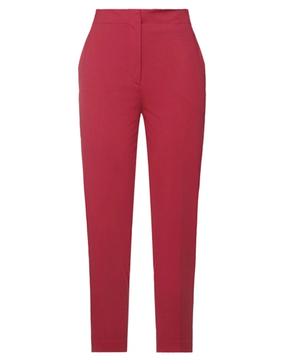 Antonelli Pants In Garnet