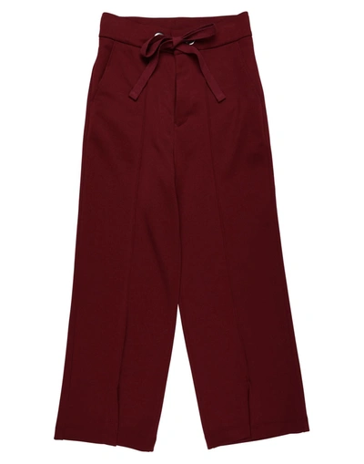Zucca Pants In Red
