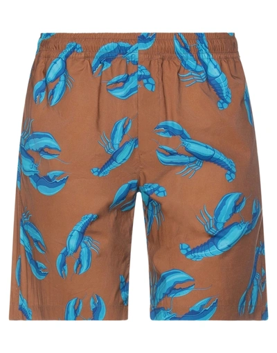 Msgm Shorts & Bermuda Shorts In Brown