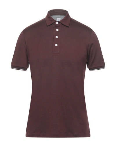 Eleventy Polo Shirts In Cocoa