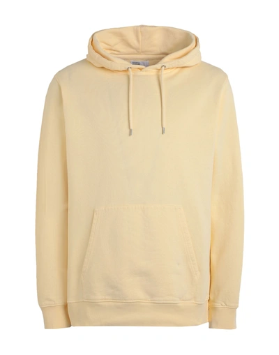 Colorful Standard Sweatshirts In Yellow