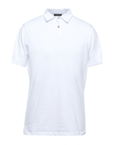 Kaos Polo Shirts In White