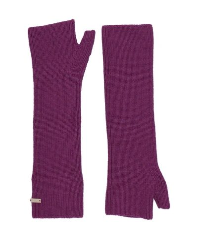 Herno Gloves In Purple