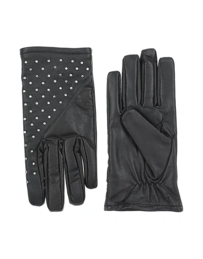 Bolongaro Trevor Gloves In Black