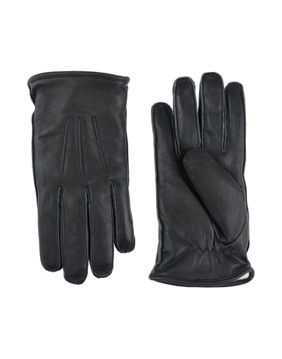 Bolongaro Trevor Gloves In Black