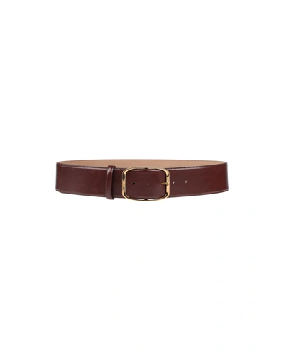 Dolce & Gabbana Belts In Cocoa