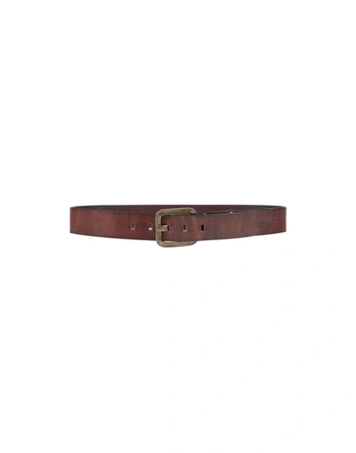 Dsquared2 Belts In Cocoa