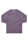 Rhone Crew Neck Long Sleeve T-shirt In Vintage Violet Heather