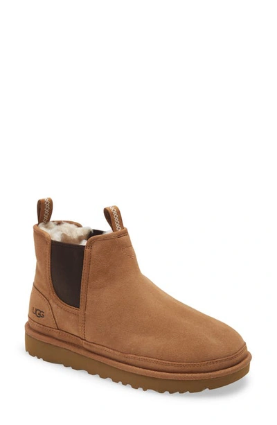 Ugg Neumel Low Heels Ankle Boots In Leather Color Suede In Chestnut