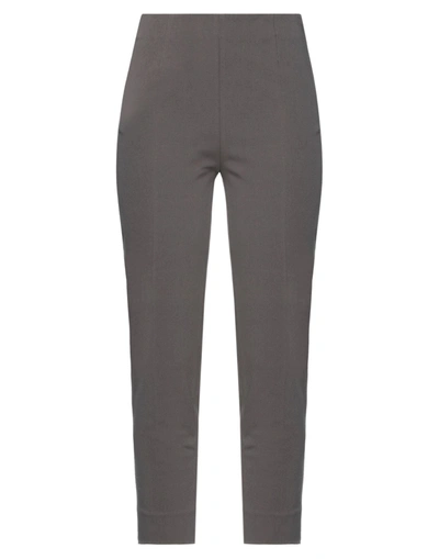 Peserico Pants In Grey