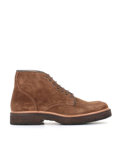 Astorflex Lace-up Boot Nuvoflex In Tabacco