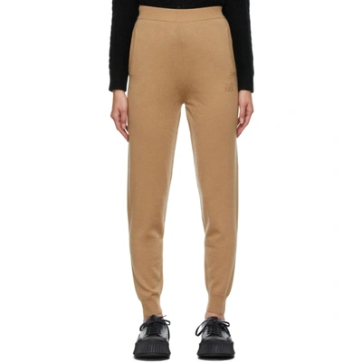 Max Mara Delta Wool And Cashmere Trousers In Brown,beige