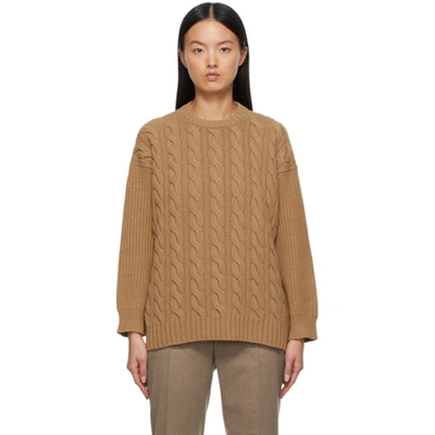 Max Mara Cannes Cashmere-blend Sweater In Brown
