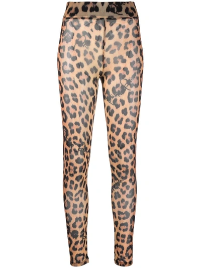 Philipp Plein Leopard-print Semi-sheer Leggings In 黑色